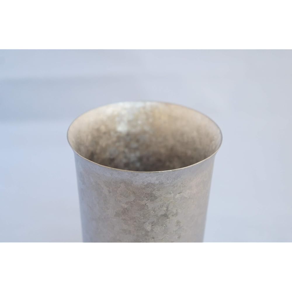 HORIE Tsubame Sanjo Titanium Double Tumbler, Kiln Made, Wide Mouth, 300cc, Silver, Made in Japan, Heat/Cold Insulation, Paulownia Box Included T13KMS300