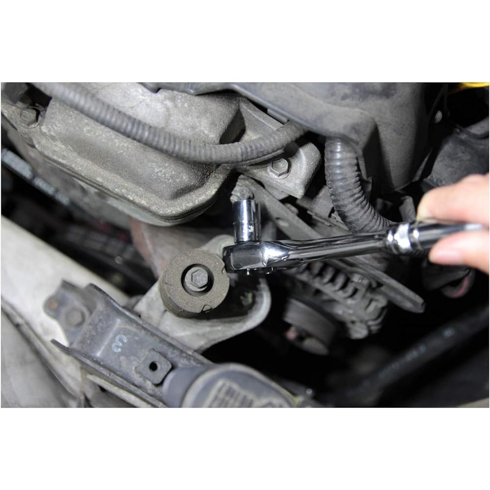 Signet 12134 3/8DR 19PC Short Socket Set (Hexagon) 12134