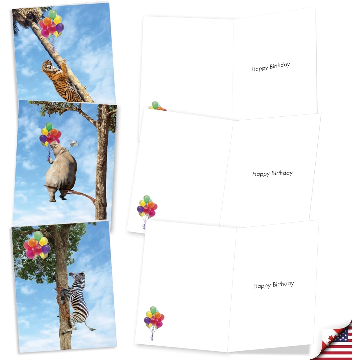 The Best Card Company 20 Assorted Birthday Note Cards Box Set 4 x 5.12 Inch with Envelopes (10 Designs, 2 of Each) Wooden Animals AM10323BDG-B2x10
