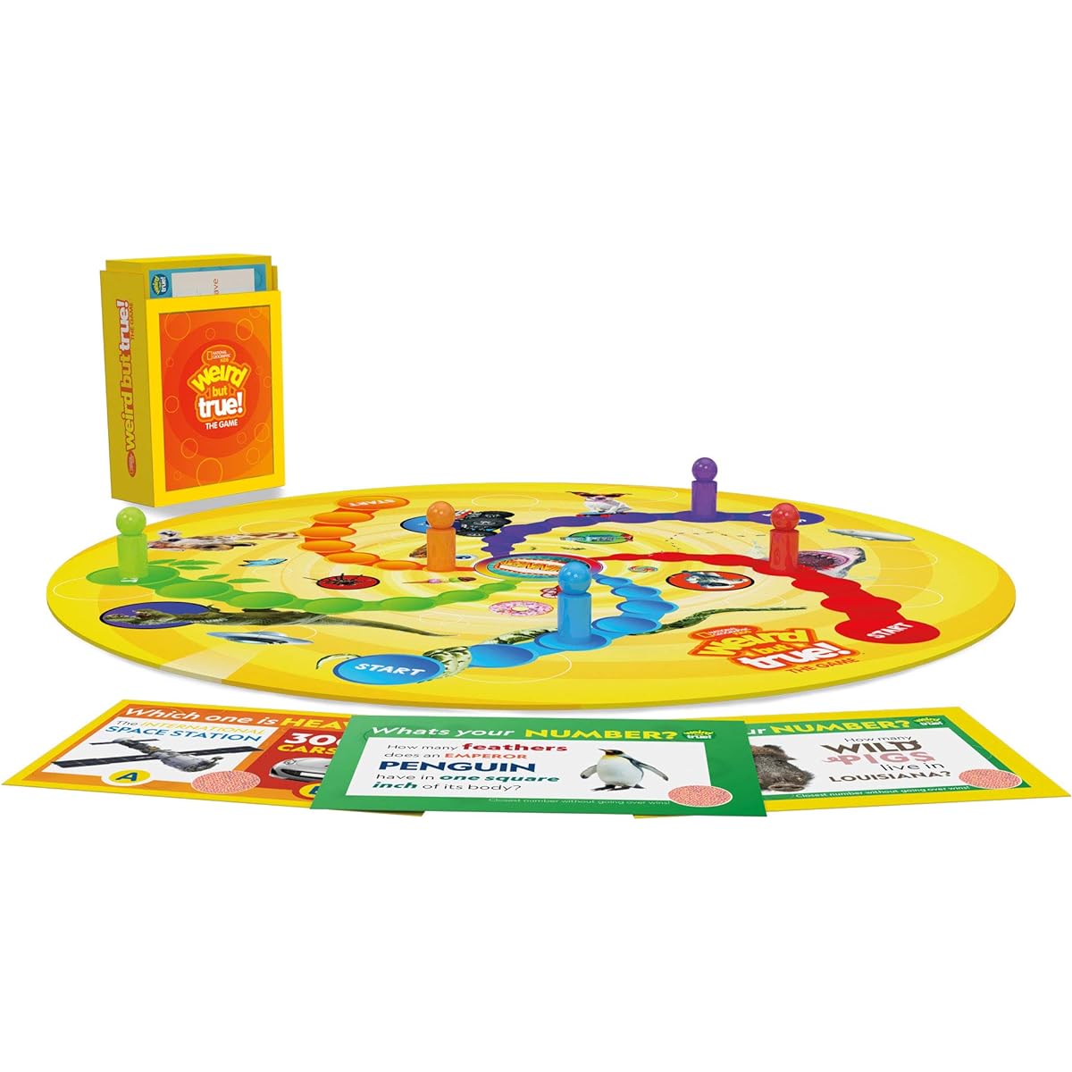 Buffalo Games - Strange but True Games