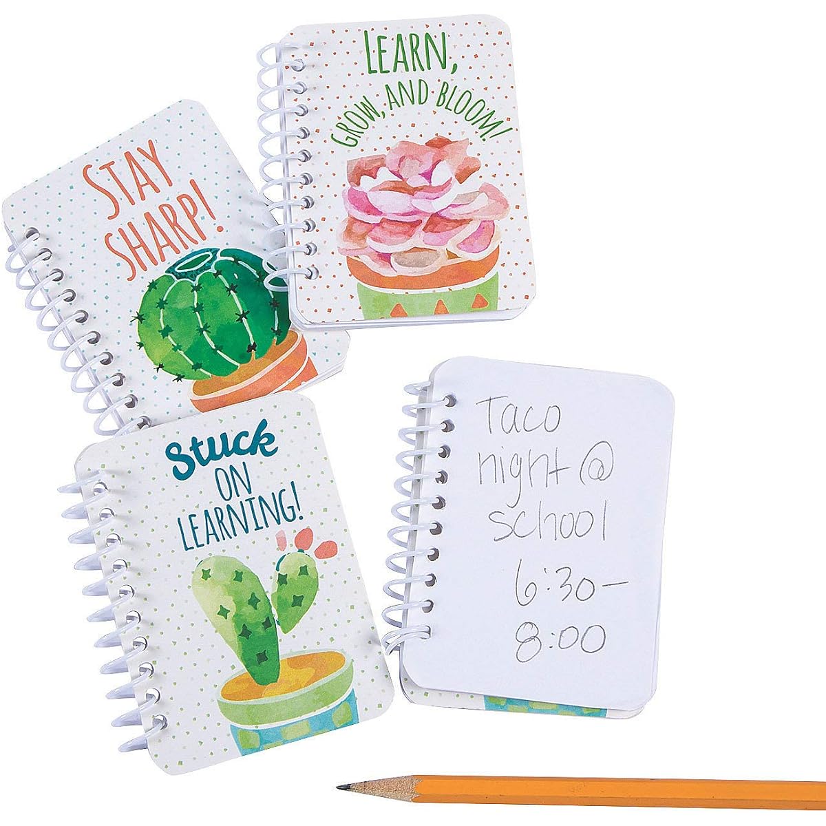Fun Express Cacti and Succulents Spiral Notepad - 24 Pieces - Educational and Learning Activities for Kids