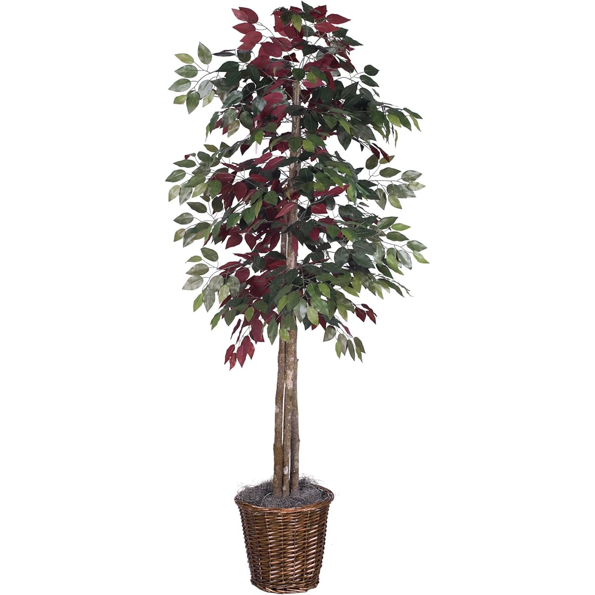 Vickerman TDX0360-07 Everyday Capencia Tree, 6ft, Green/Red