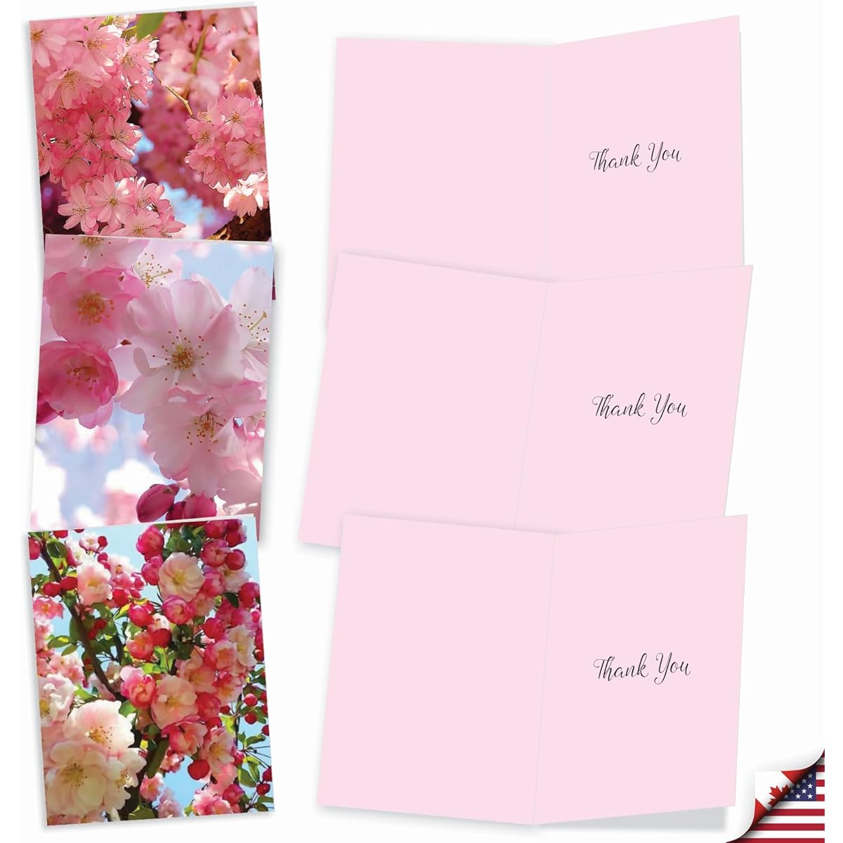 The Best Card Company Cherry Blossoms - Box of 20 Thank You Cards with Envelopes (4 x 5.12 inches) - AM6861TYG-B2x10