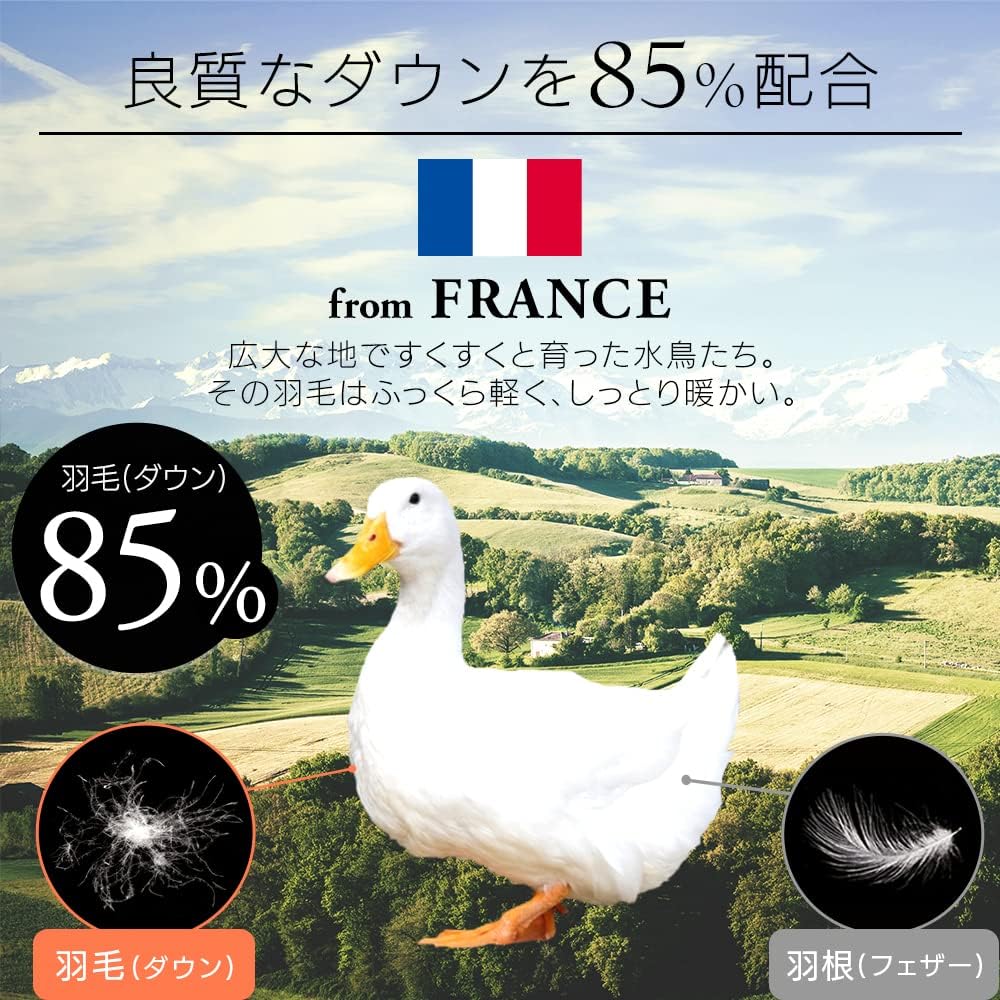 Iris Plaza Showa Nishikawa French duvet, 85% white duck down, antibacterial, odor and dust mite resistant, down power 360dp, filling capacity 1.1kg, made in Japan, single blue