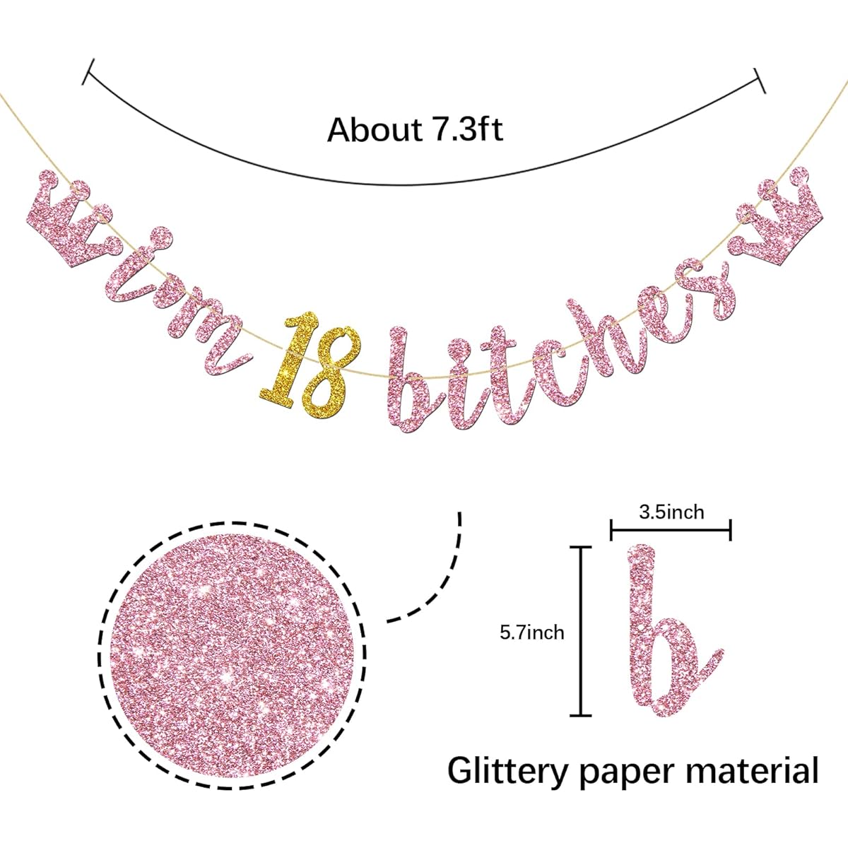 I'm 18 Bitches Banner - 18th Birthday Gold and Pink Glitter Bunting Funny Birthday Party Decorations