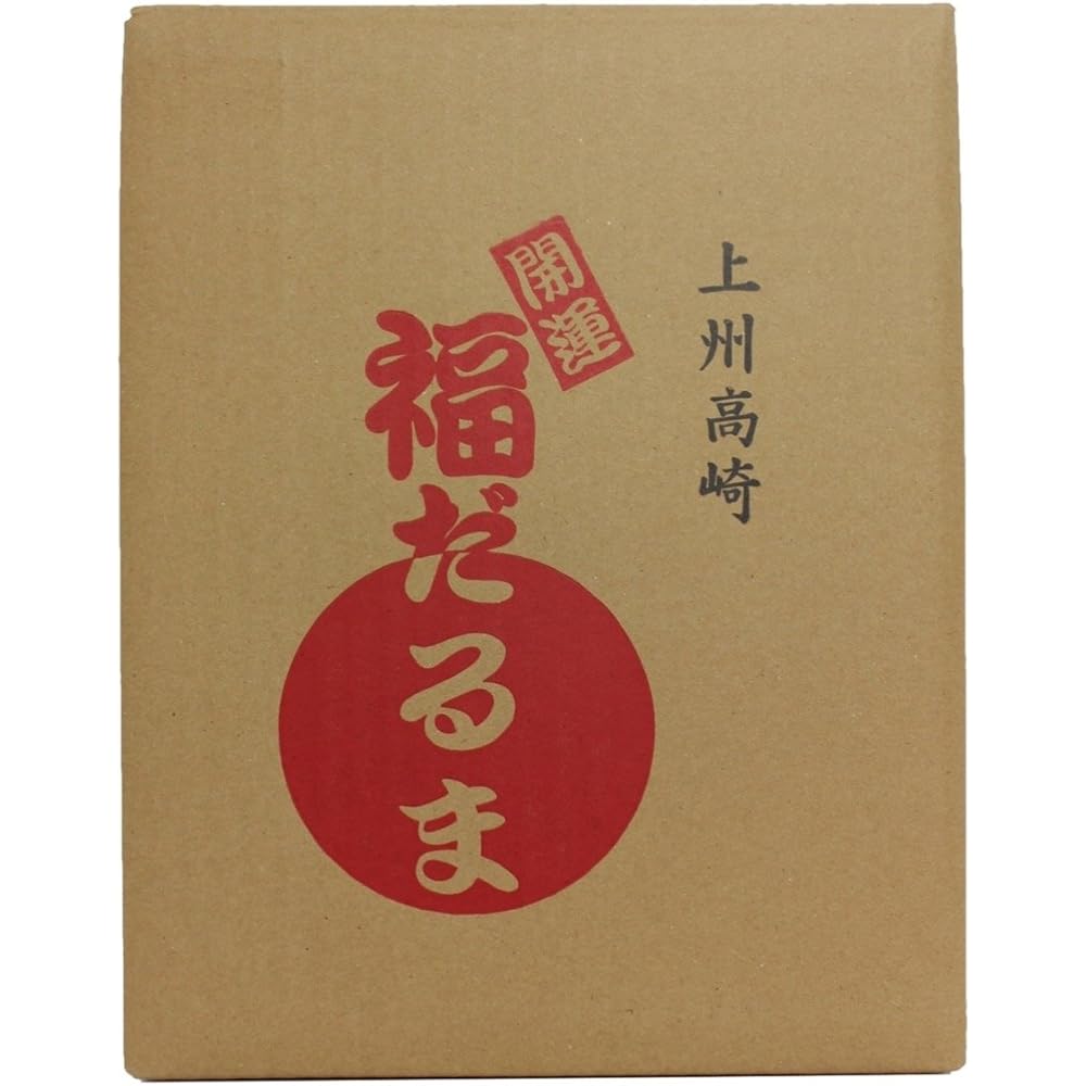 Takasaki Daruma Silver No. 16 54x50x50cm Prayer for passing exams and fulfillment of wishes HKDM-16-SL-5