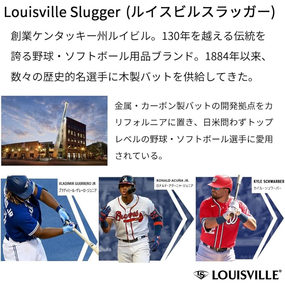 Louisville Slugger Baseball Bat Training Professional Maple Training 85cm-982g Average Black x B Gray WBL28430108598