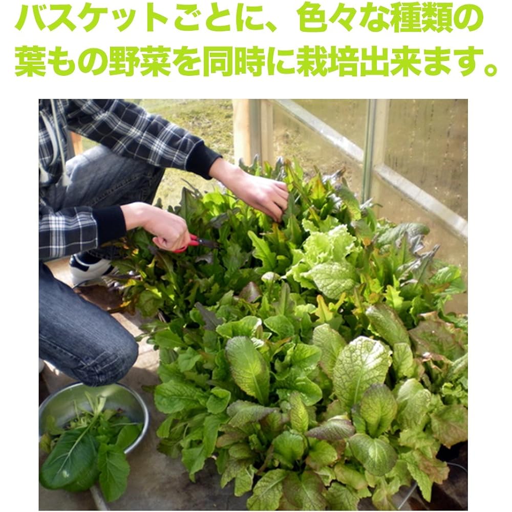 Tominaga Resin Vegetable Big Family AC015-01