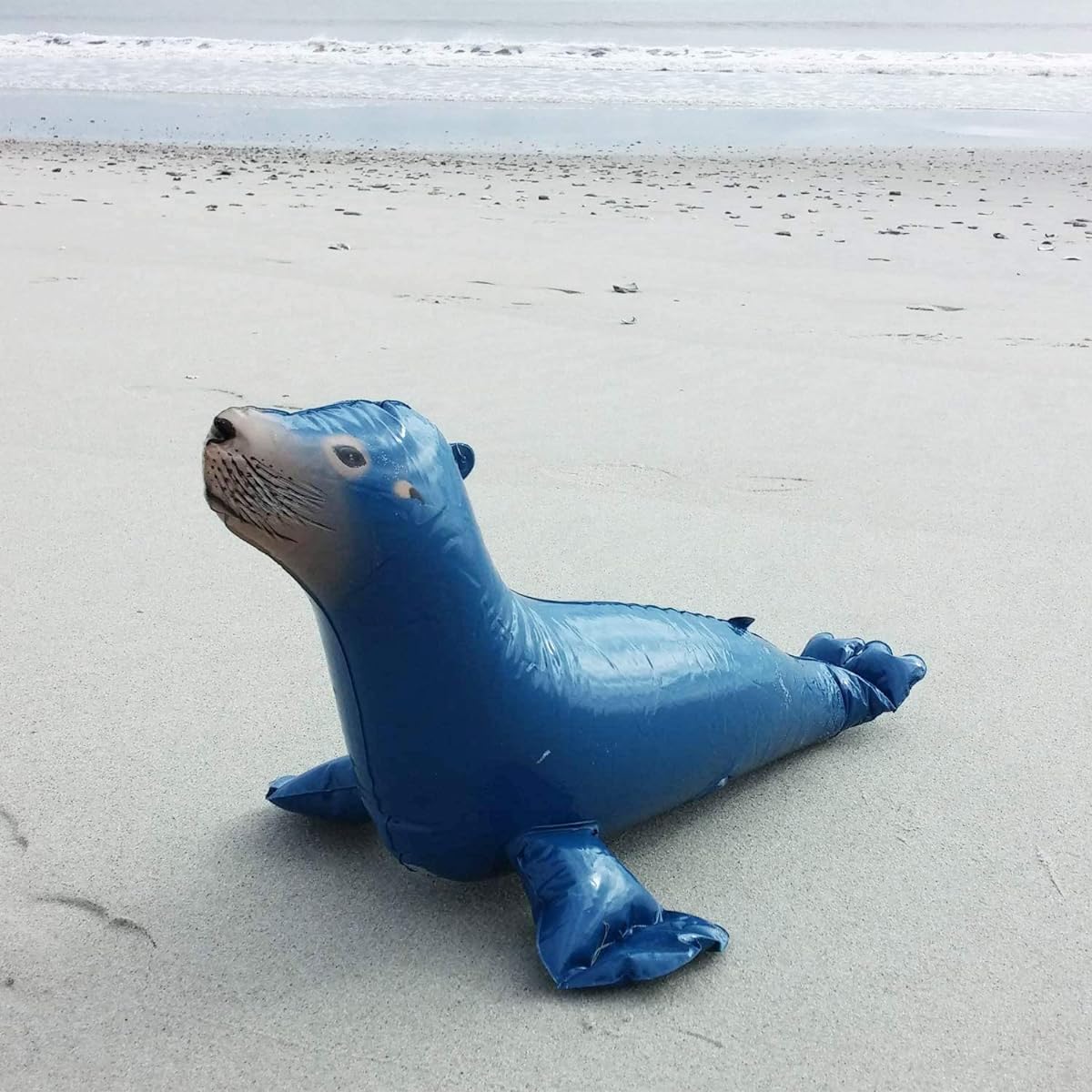 Jet Creations Seal Inflatable Animals 20" Long Pack of 4 Toys Home Decor Party Favors for Kids and Adults SEAL4 Multi