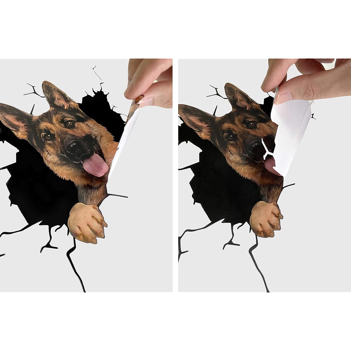 Ocean Gifts French Bulldog Car Decal Dog Car Stickers Set of 2 Realistic French Stickers Car Window Wall Series 69 Sizes 8" x 8"