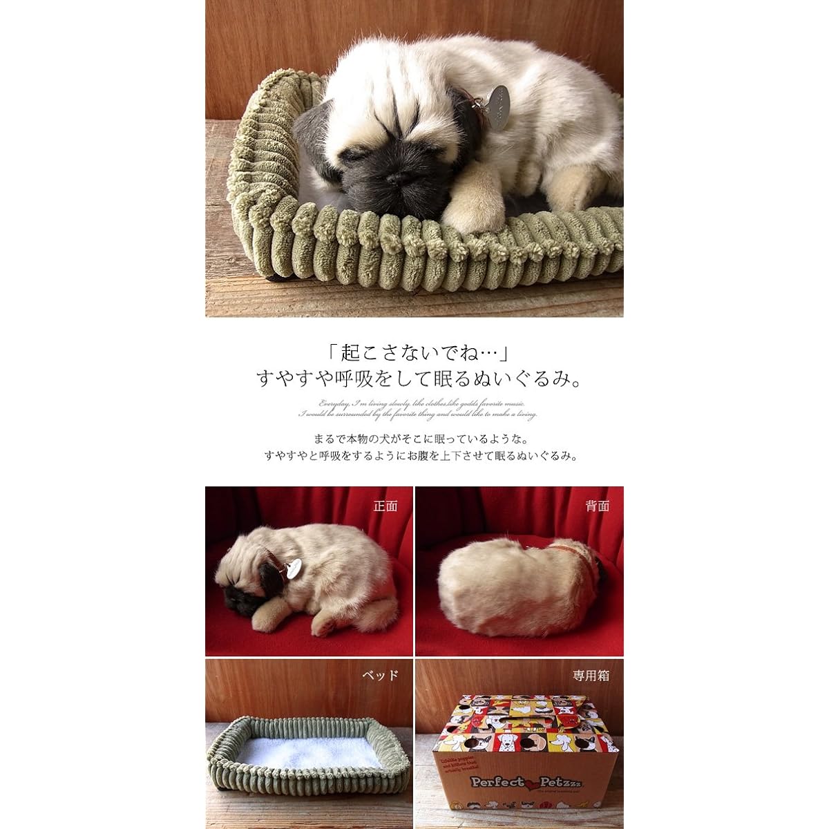 Nini and Kino Perfect Pet (Small Size) Pug (Fawn) Stuffed Toy Dog Dog Realistic Look-alike Miscellaneous Goods Animal Healing Moving Present Gift Celebration Cute Dog Stuffed Toy