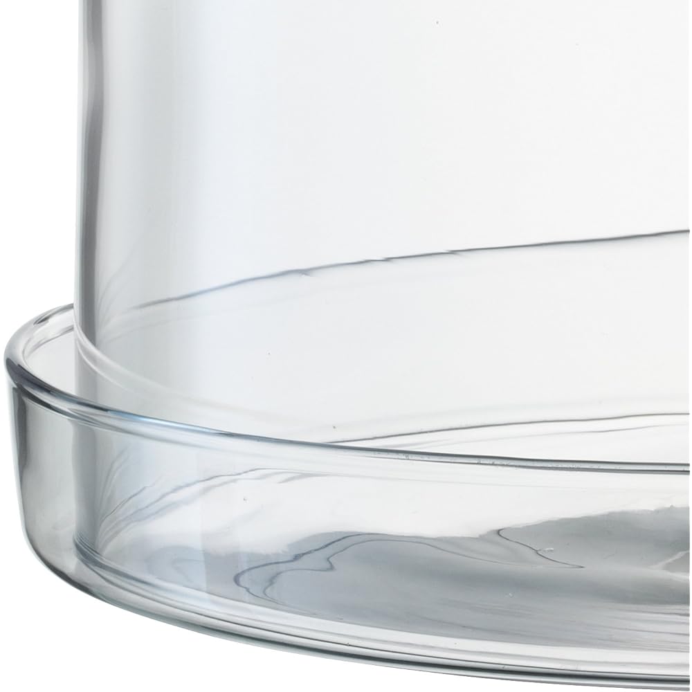 LSA Cake Stand & Dome Clear Height 25cm SERVE G875-25-301