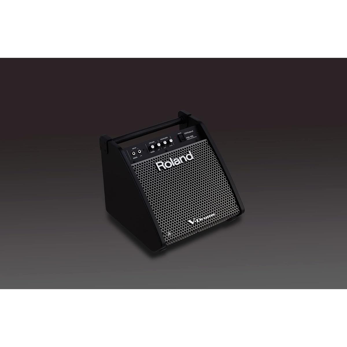 Roland Personal Monitor Roland PM-100