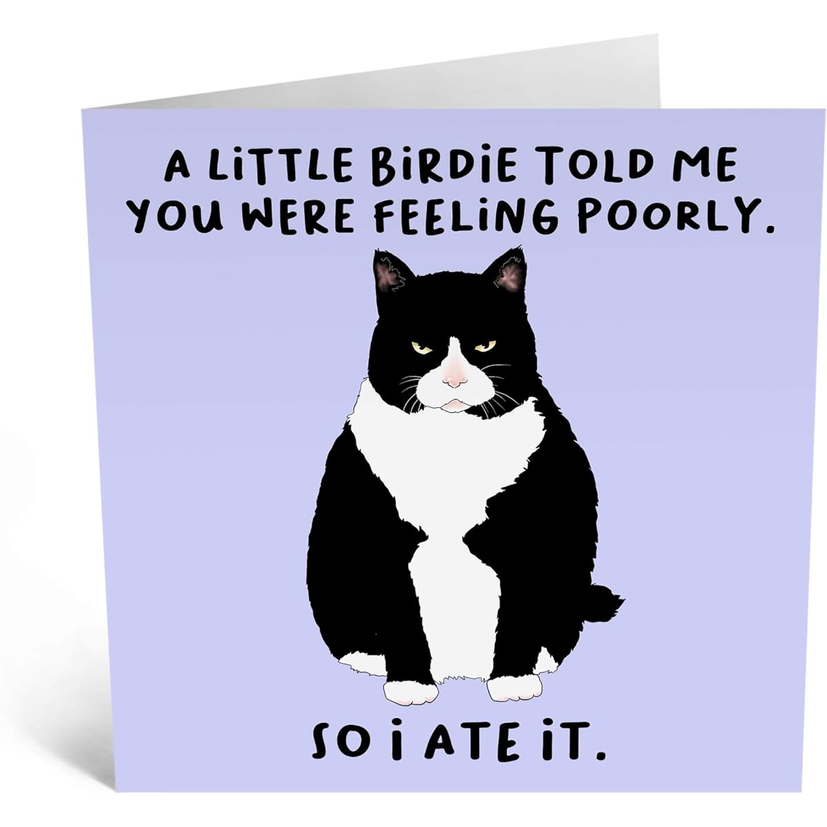 Central 23 - Funny Get Well Soon Card for Her - "A Little Birdie.Feeling Poorly" - Cheeky Get Well Soon Card for Him-Cat Design - Fun Stickers Included