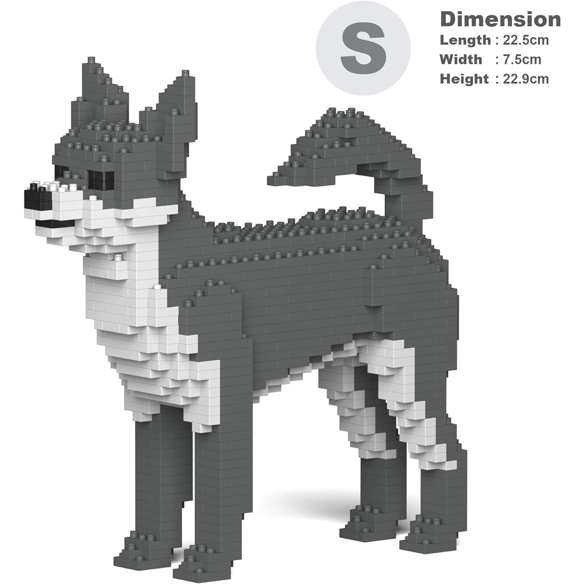 JEKCA Chihuahua 01S-M04