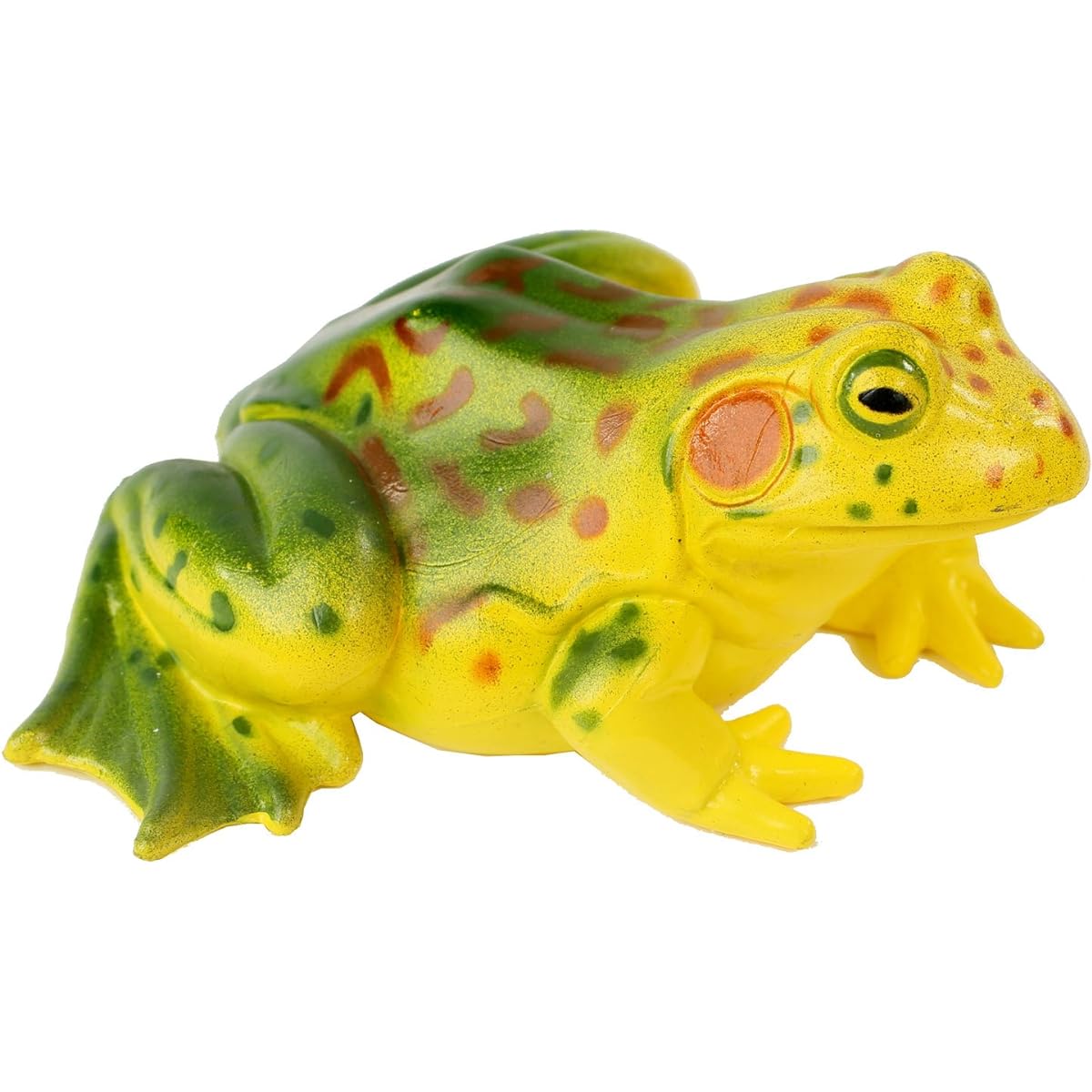 Life Cycle Stages-Frog (Parallel Import)