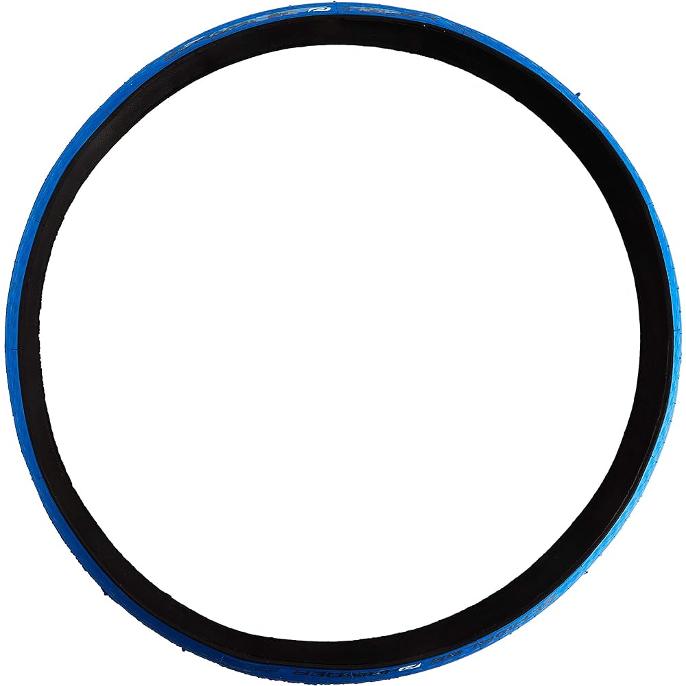 SCHWALBE INSIDER 700×23C 310g Roller Training Tire