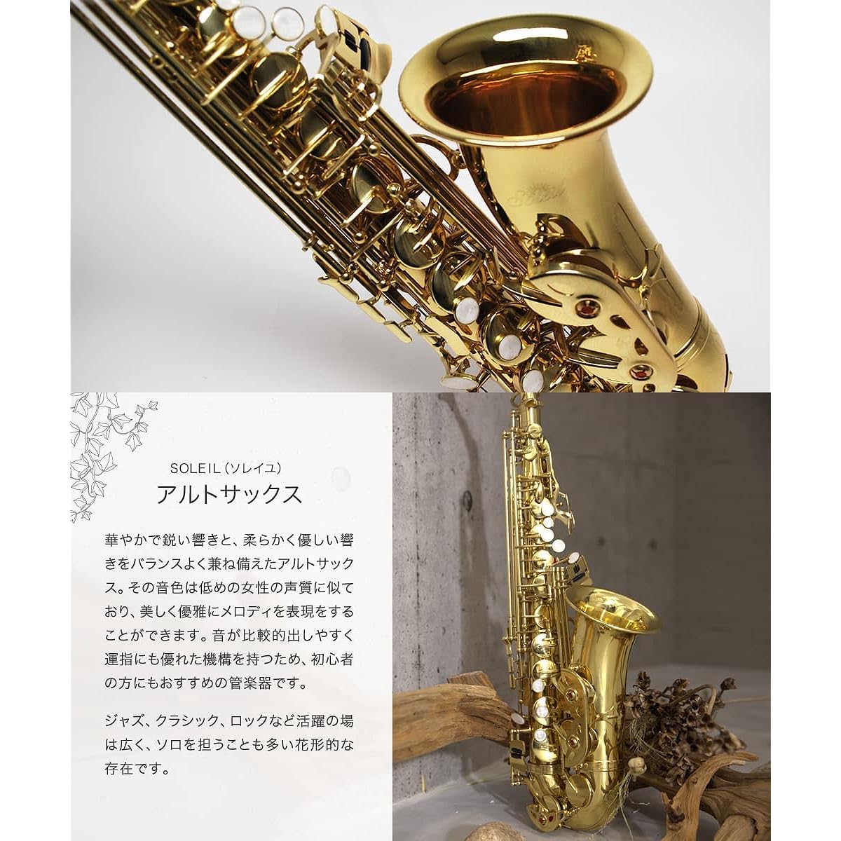 Alto saxophone beginner set (9707084220)