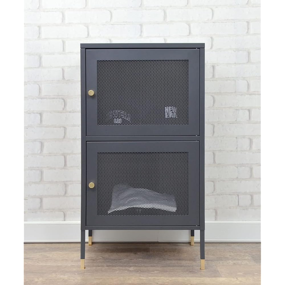 B.C.L Antrex Storage Shelf Steel Cabinet 2 Door Assembly Type 2 Tier Rack Interior Mesh Black