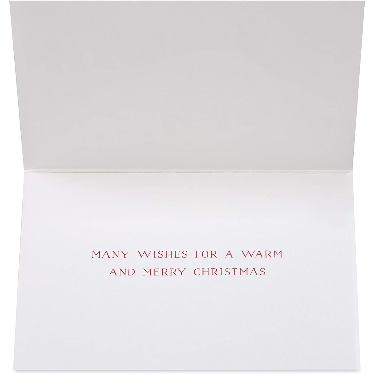 Papyrus Holiday Box Cards Noel and Holly (20 Cards) 6389622