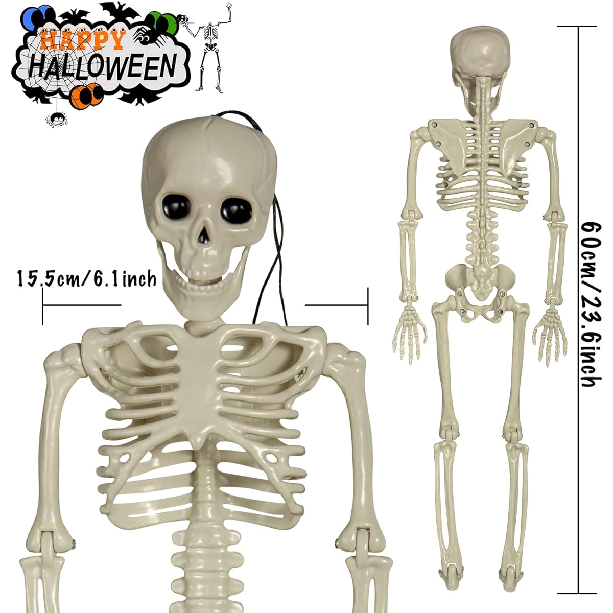 XONOR 25.6" Poseable Skeleton Halloween Decoration - Full Body Halloween Skeleton with Movable Joints Haunted House Props Decoration
