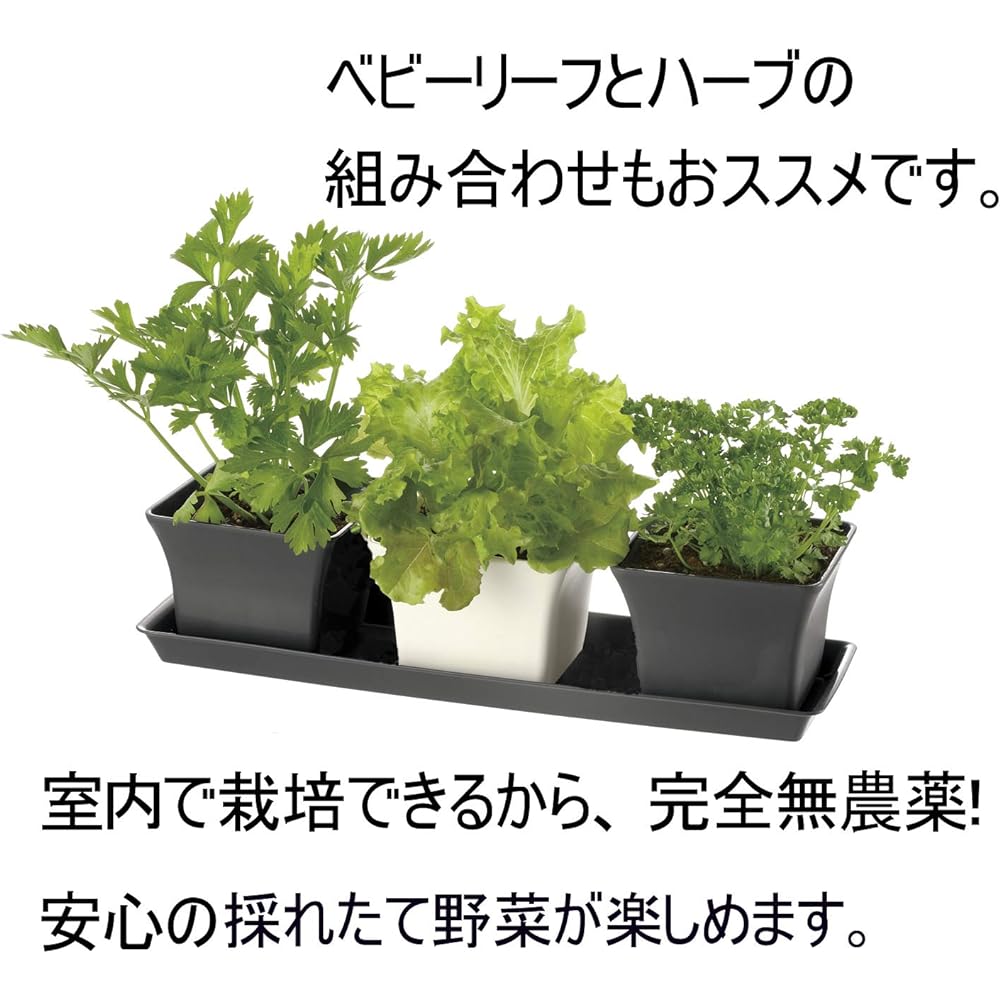 Richel Baby Leaf Planter 40 Type N Dark Gray Set of 5 002212