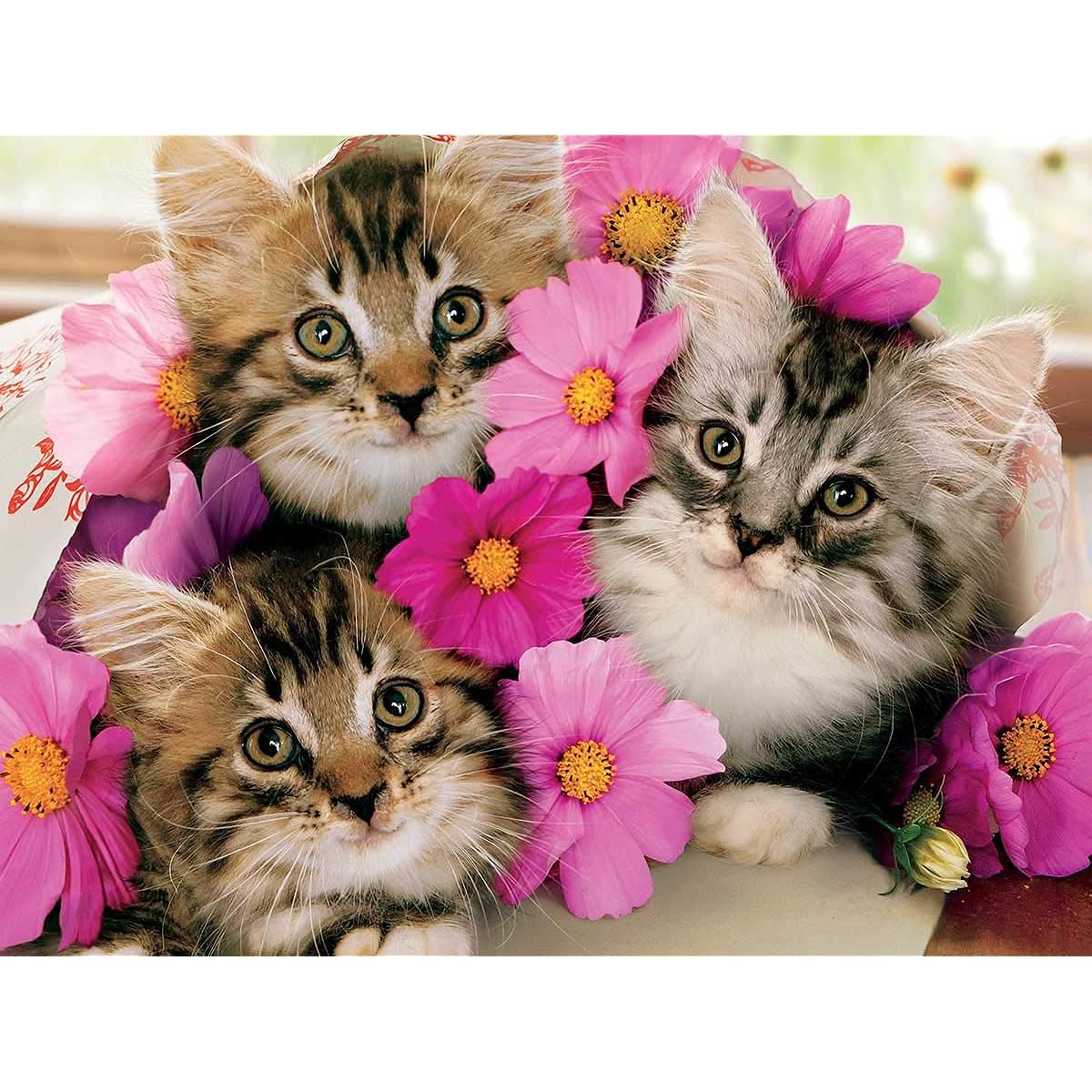Avanti - Kitten Bouquet Puzzle - 300 Pieces
