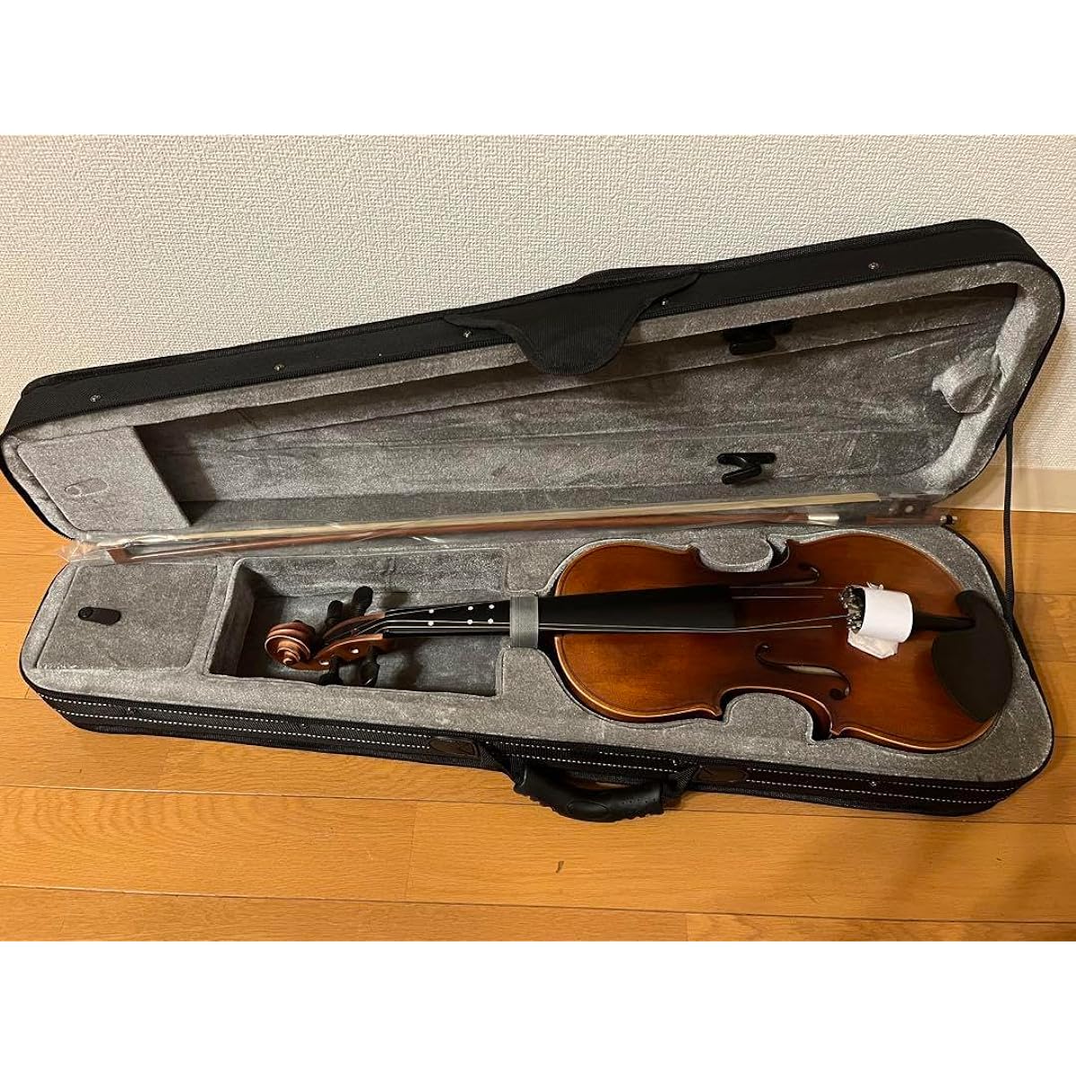 Beginner Violin Set 4 4 Sizes