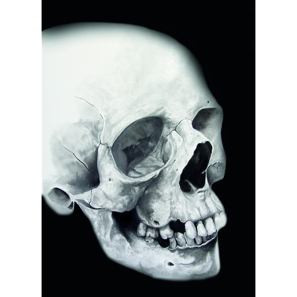 skull edition black and white drawing tin set by cretacolor includes 25 pieces of drawing materials featured in a sturdy metal tin