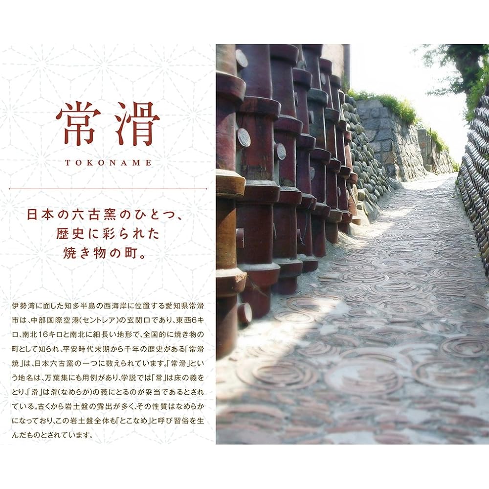 Yamashita Crafts Tokoname Ware Fugetsu Kiln Hen Black Obi Line Teapot 230cc 13035460