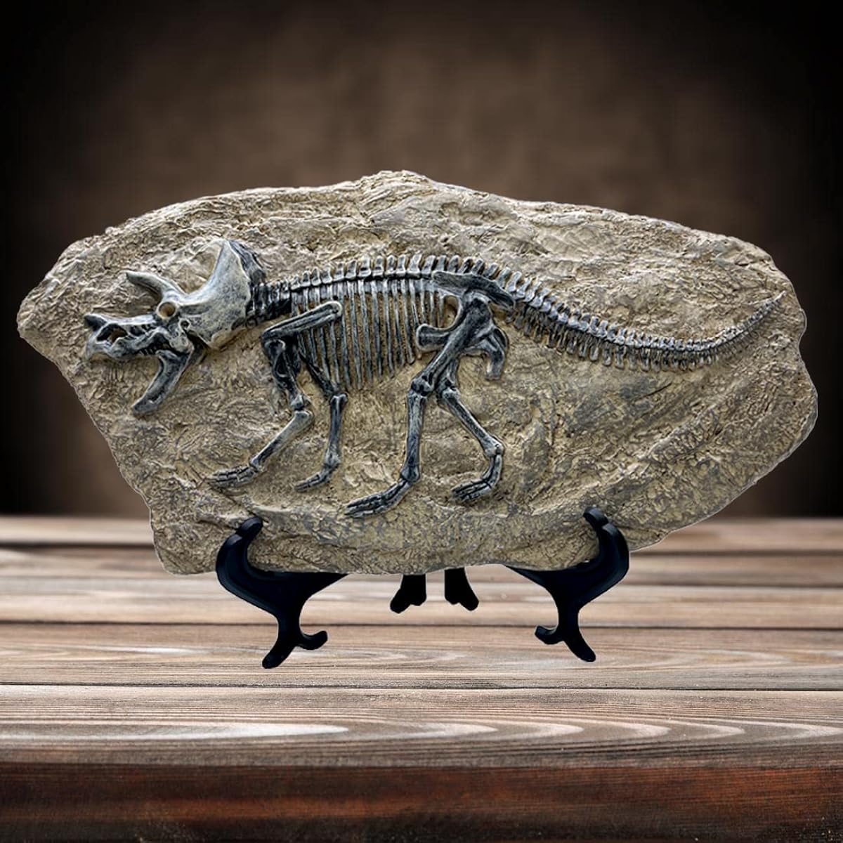 XINDAM Resin Triceratops Dinosaur Fossil Statue Model Imitation Skeleton Home Office Display Decoration Craft Box Decor (Style 6)