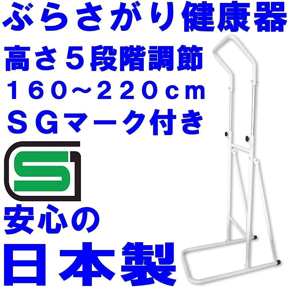 FUKUSHIMA Hanging Health Container Brajoy Home Use FM-1120