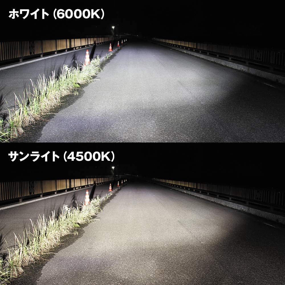 Sphere Light Made in Japan Motorcycle LED Headlight RIZING2 HS1 6000K 2400lm DC/AC Compatible SRBHS1060