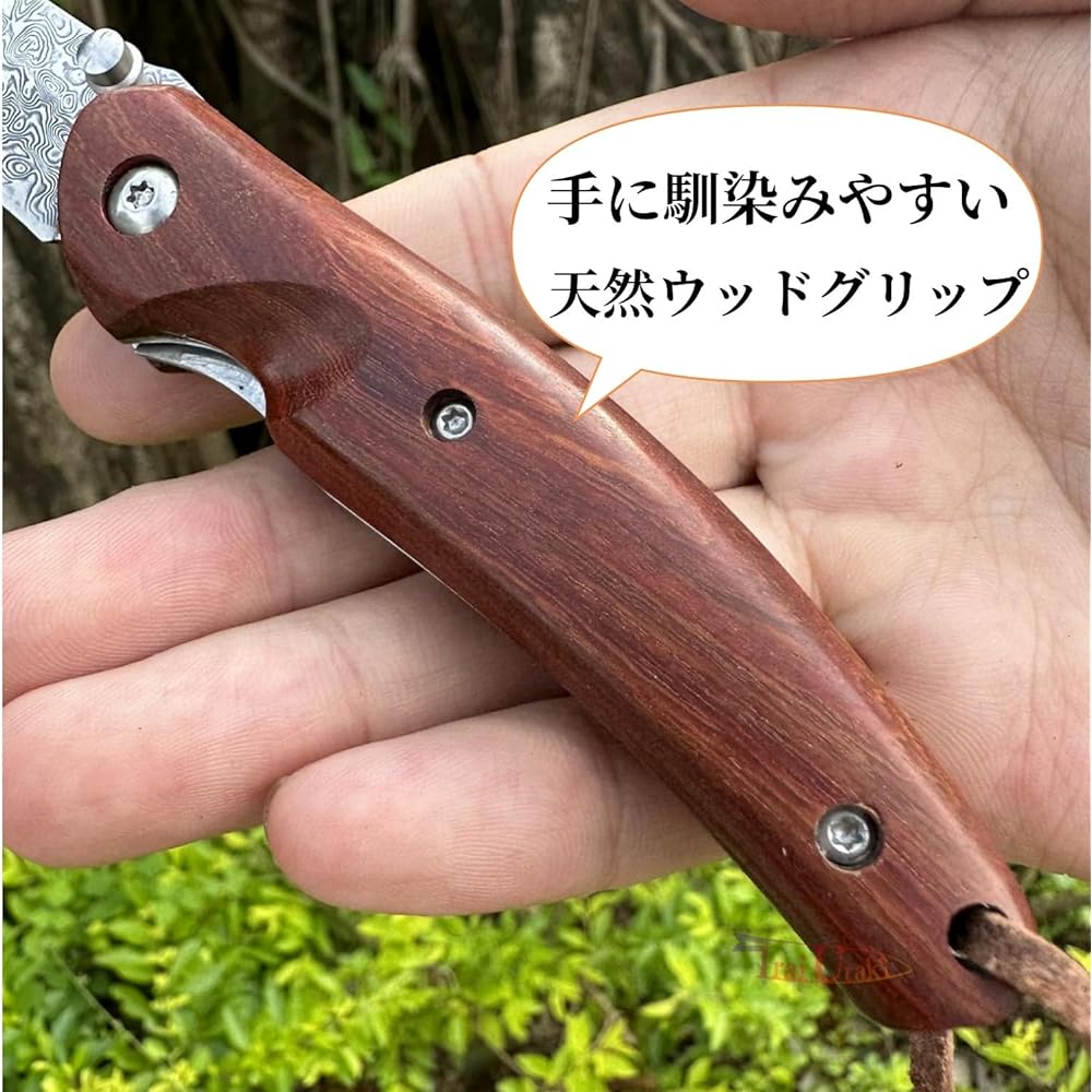 Irai Utaki Small Pocket Knife Damascus Folding Knife Liner Lock Outdoor Knife Survival Wood Handle EDC Knife