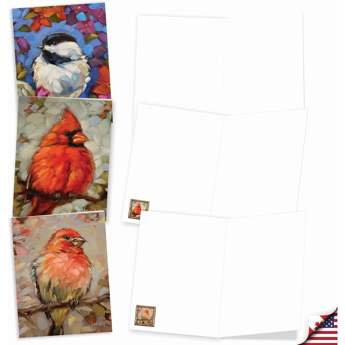 The Best Card Company 20 Assorted Blank All Occasion Notes Box Set 4 x 5.12 Inches with Envelopes (10 Designs, 2 of Each) Bold Bird AM10347OCB-B2x10