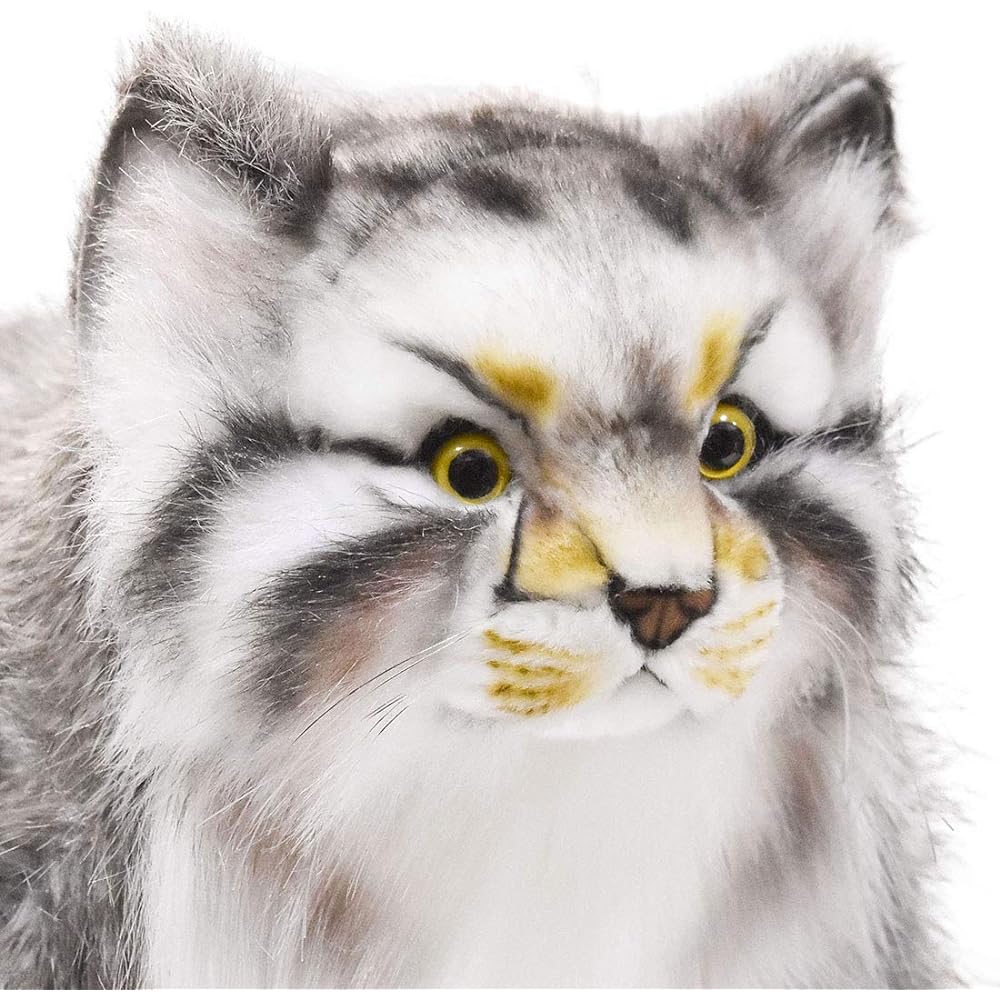 BH7077 HANSA Manul cat 30
