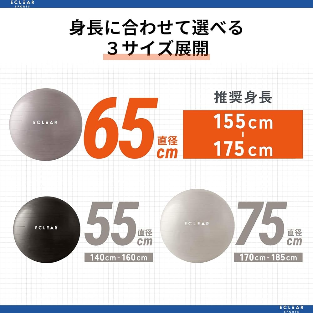 ELECOM Balance Ball 65cm Fitness with Air Pump Gray HCF-BB65GY