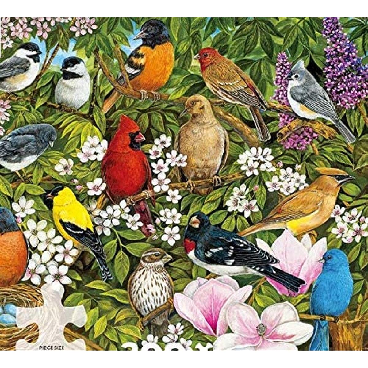Ceaco - Sandy Williams Garden Bird - 300 Piece Jigsaw Puzzle