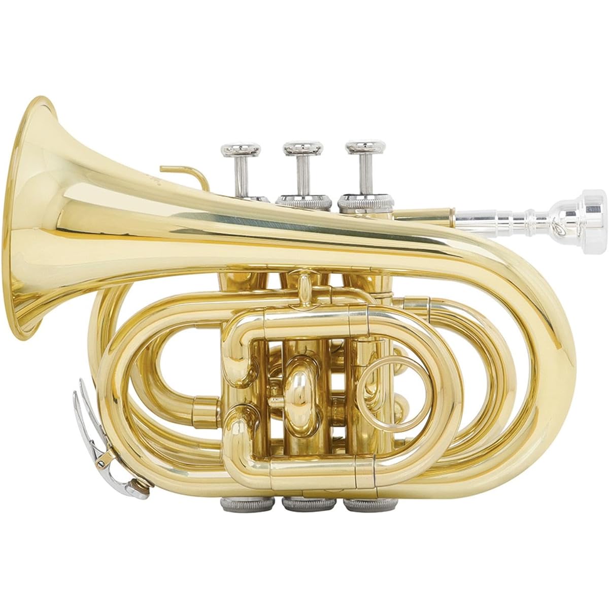 Dickly Beginner's Brass Trumpet Set with Protective Carrying Bag and Essential Accessories