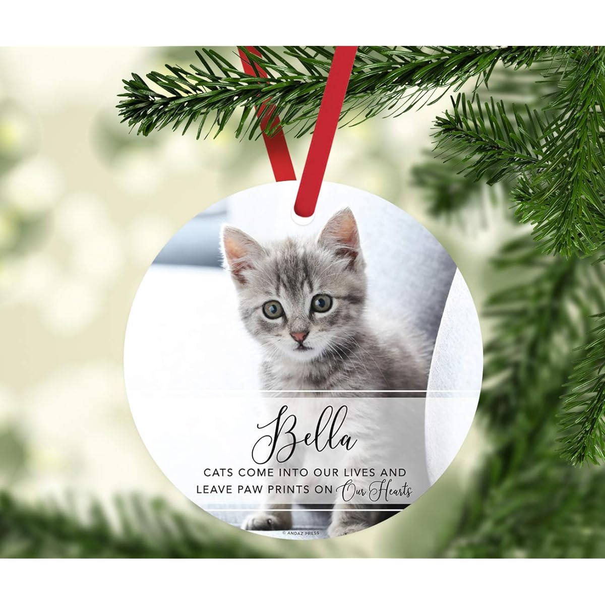 Andaz Press Photo Name Round Metal Cat Pet Animal Keepsake Ornament Gift Charlie Cat Come Into Our Lives and Leave Paw Prints On Our Hearts, Modern 1 Pack, Custom