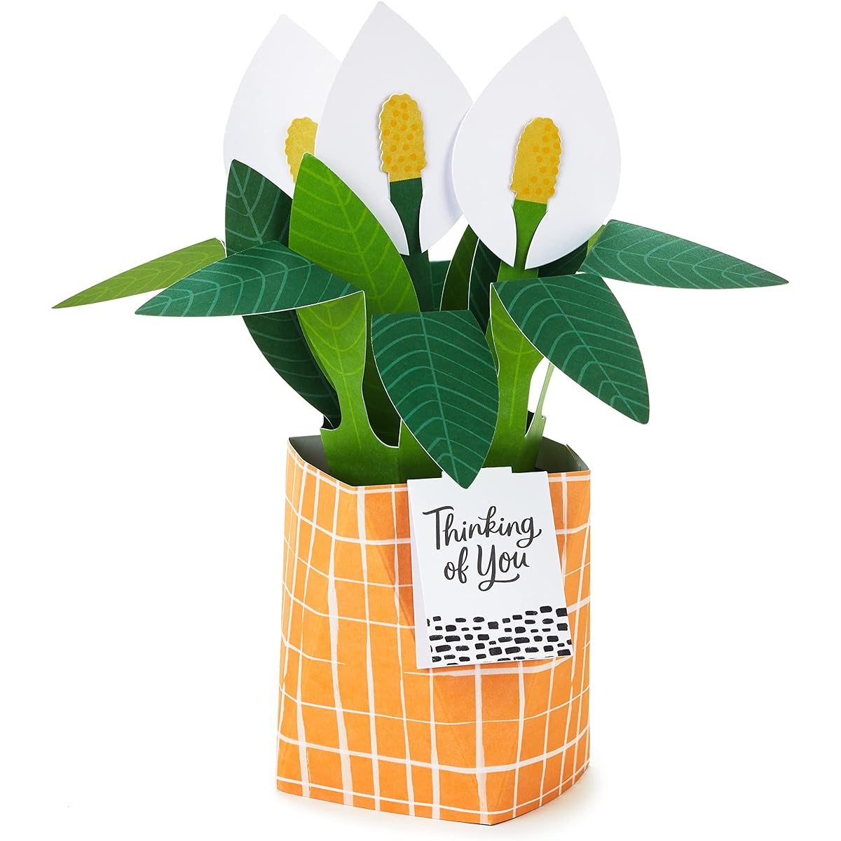 Hallmark Paper Wonder Thinking of You, Encouraging Pop-Up Card (Potted Peace Lily)