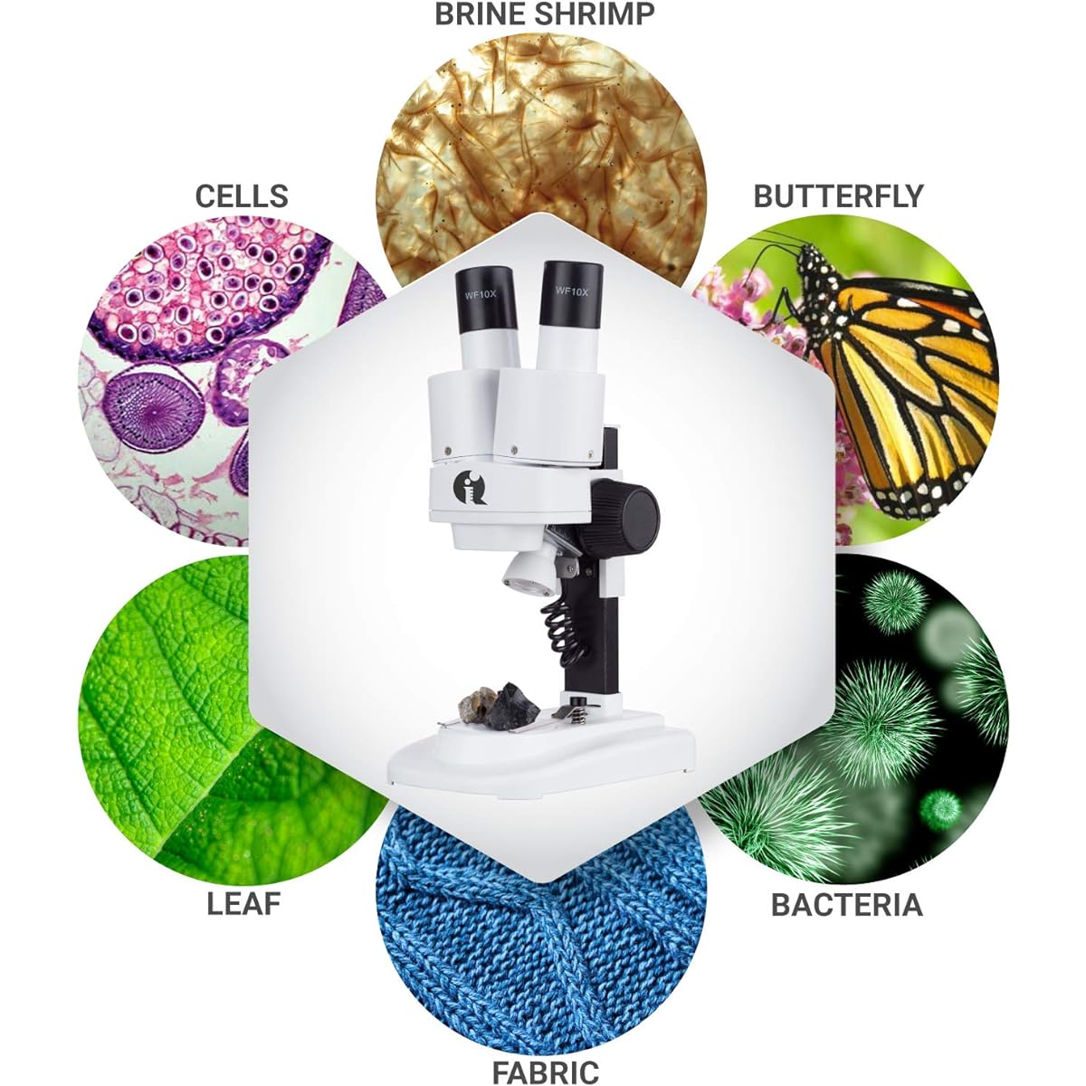 IQCREW Science Discovery Series Dual Illumination Stereo Microscope