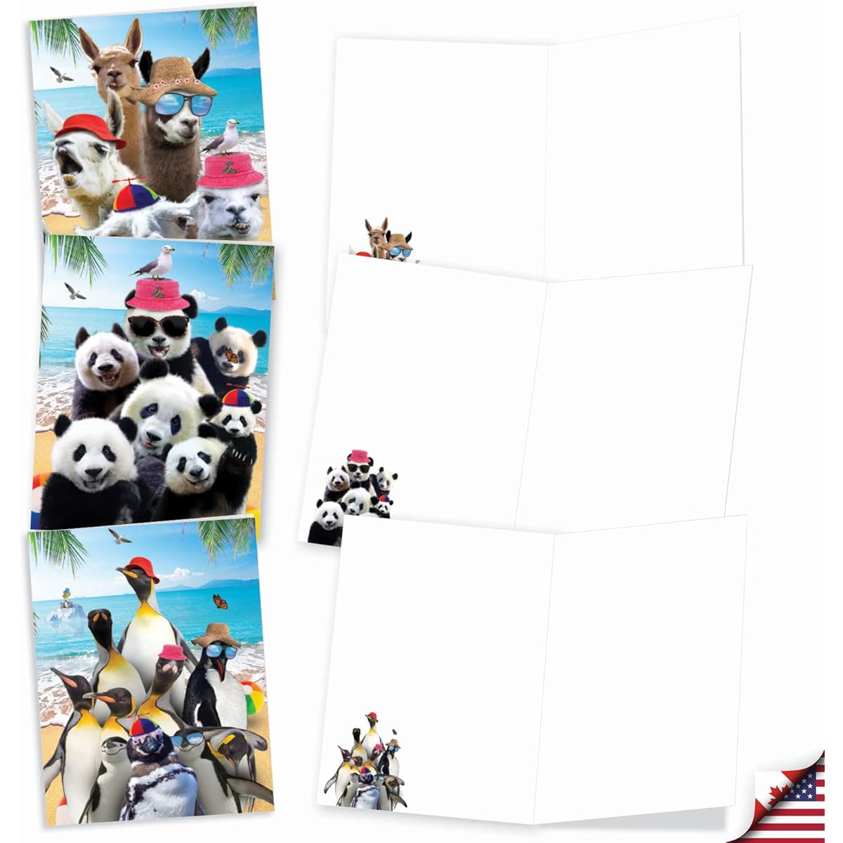 The Best Card Company Boxed Set of 20 Blank Notes 4 x 5.12 Inches with Envelopes (10 Designs, 2 of Each) Wildlife Photo Ops AM10209OCB-B2x10