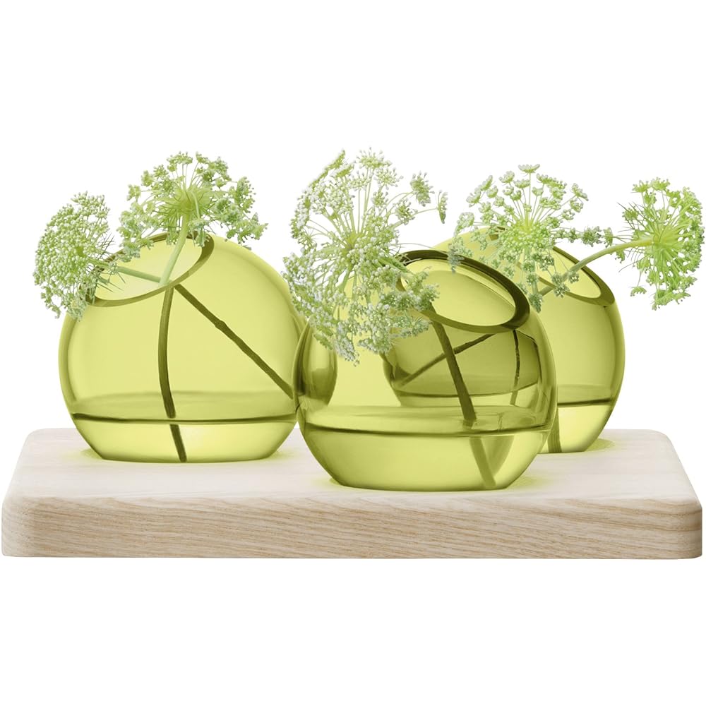 LSA Flower Vase (Vase) Green Height 8cm AXIS G1365-03-414