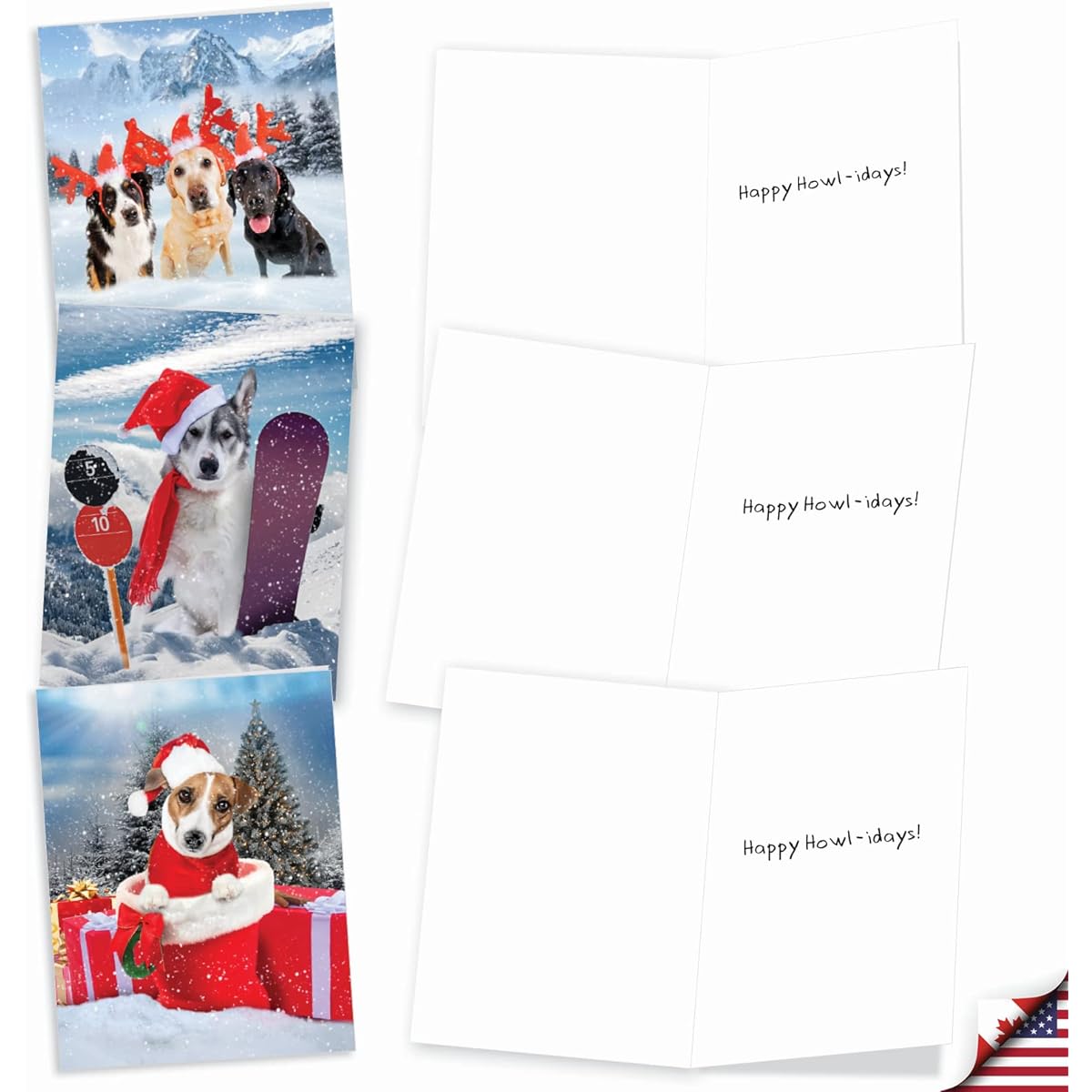 The Best Card Company Canine Antics - 20 Assorted Boxed Merry Christmas Note Cards with Envelopes (4 x 5.12 inches) - Playful Dog in the Snow AM3194XSG-B2x10