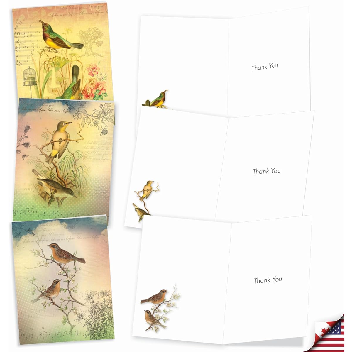 The Best Card Company Songbird Notes - Box of 20 Thank You Note Cards with Envelopes (4 x 5.12 inches) - AM6948TYG-B2x10