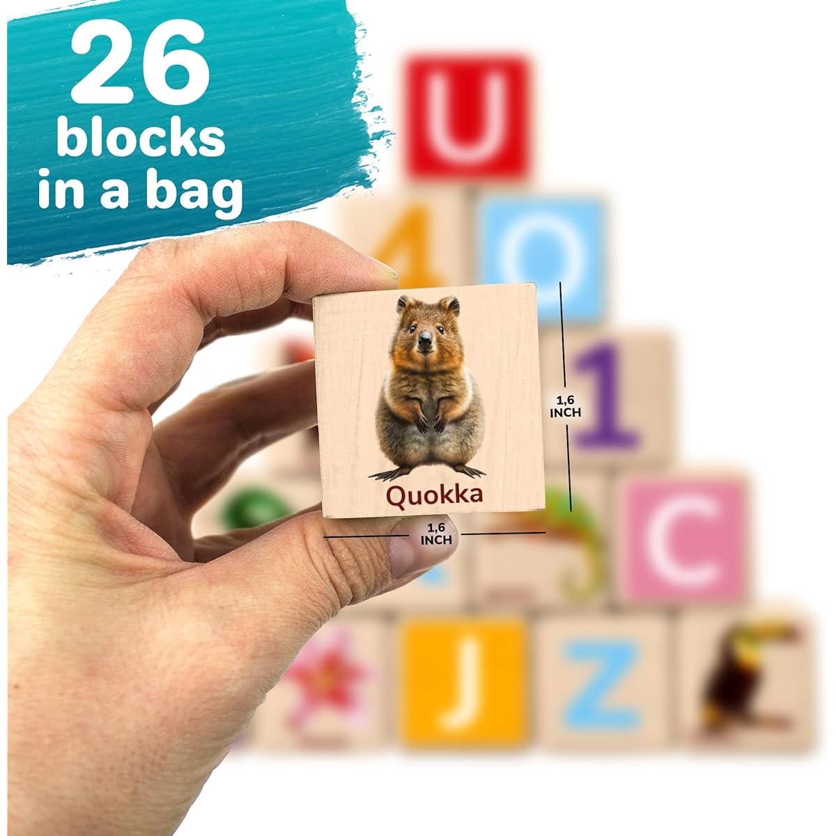 Quokka Wooden Blocks for Toddlers 1-3 - Realistic ABC Learning Baby Blocks for Kids 3-5 Year Olds - Stacking Alphabet Wood Toys for 2-4 yo - Learn Letters Numbers
