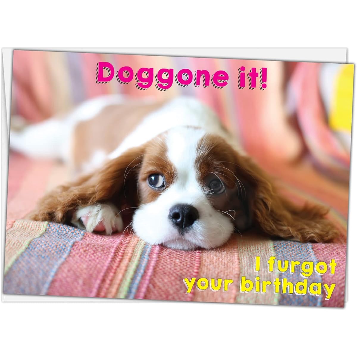 Glory To Dog Doggone It! I Furgot Your Birthday Greeting Card
