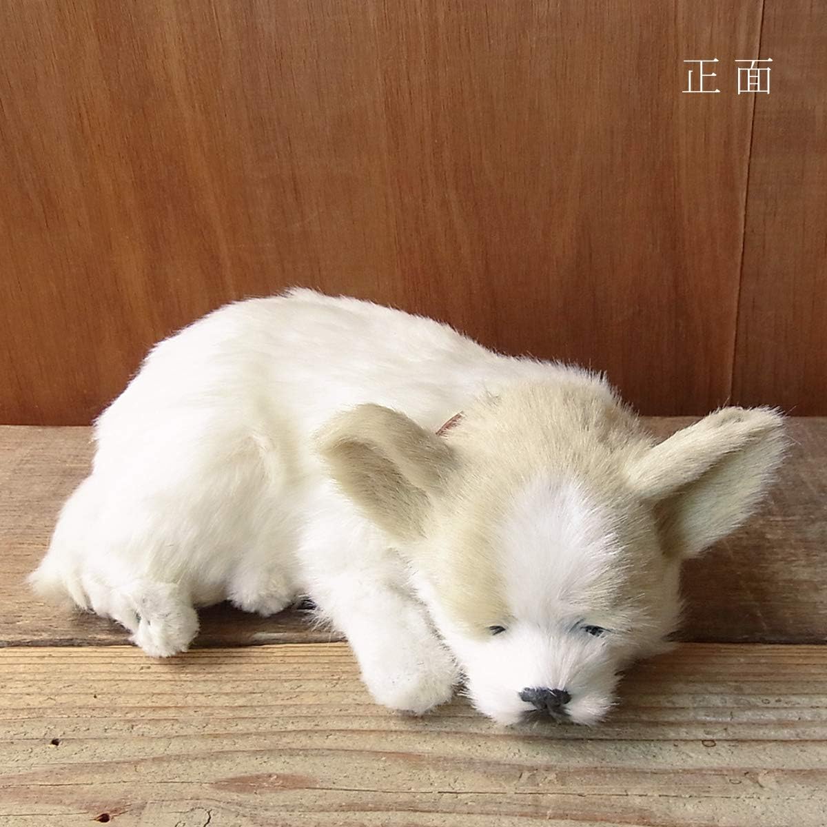 Nini and Kino Perfect Pet (Small Size) Chihuahua Smooth Stuffed Toy Dog Dog Realistic Looks Like Miscellaneous Goods Animal Healing Moving Present Gift Celebration Cute Dog Stuffed Toy