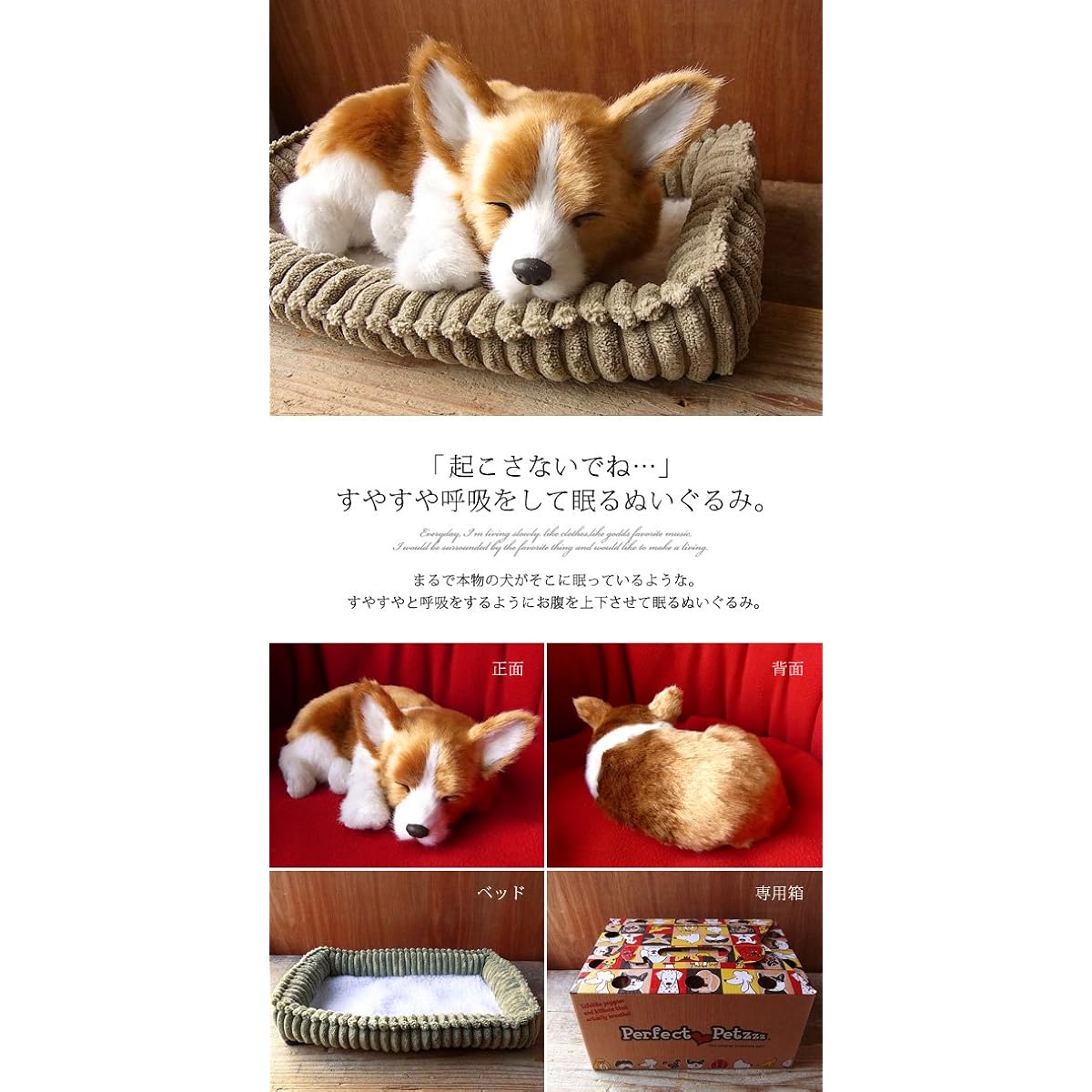 Nini and Kino Perfect Pet (Small Size) Corgi Stuffed Toy Dog Dog Realistic Look-alike Miscellaneous Goods Animal Healing Moving Present Gift Celebration Cute Dog Stuffed Toy Corykerhondie